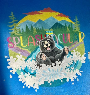 Splashtacular: Indoor Pool~Gorgeous Views~HotTub~GameRoom~Resort Gatlinburg